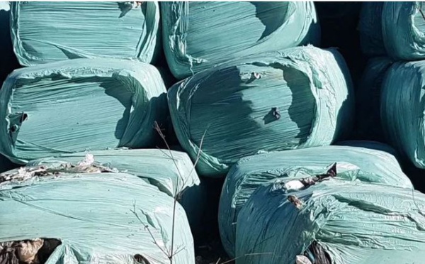 Gestion des déchets en Corse : la crise dans la crise