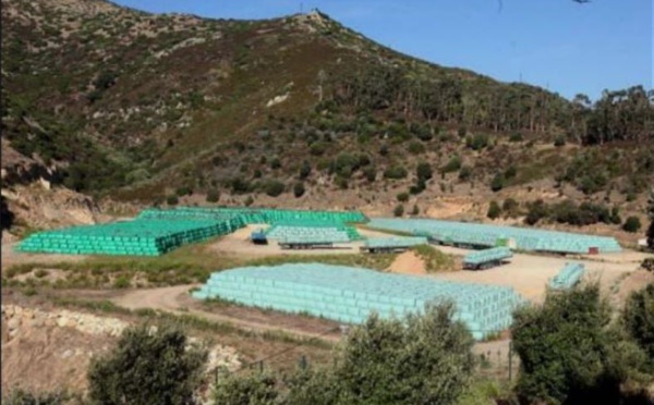 Crise des déchets : la Corse dit "oui" à l'incinérateur... de Nice