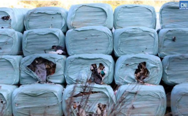 Exportation des déchets en PACA : L’Assemblée de Corse valide « un mal nécessaire » ! 