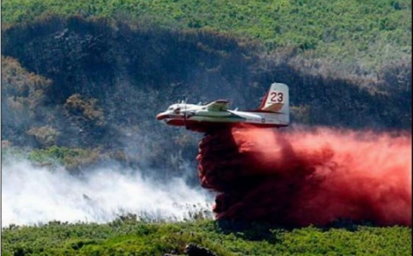 LUTTE CONTRE LES INCENDIES  Un été sans Tracker dans l'île