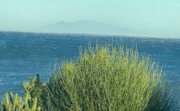 Haute-Corse : épisode de vent fort annoncé. Emploi du feu interdit. 
