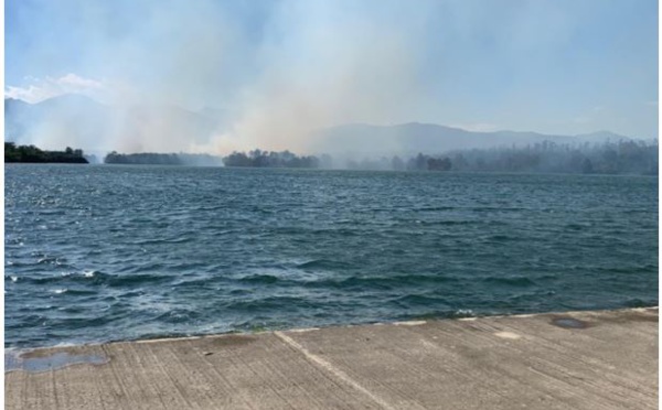 Plaine orientale : une vingtaine d'hectares détruits par le feu 