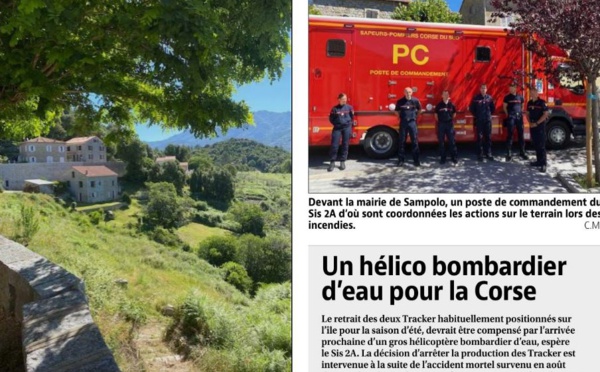 Le débroussaillement : premier rempart contre le feu