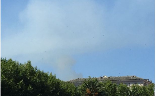 Santa Maria di Lota : brûlage dirigé en cours 