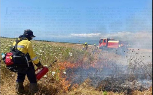 A GHISUNACCIA  Un brûlage dirigé pour protéger le domaine de Pinia