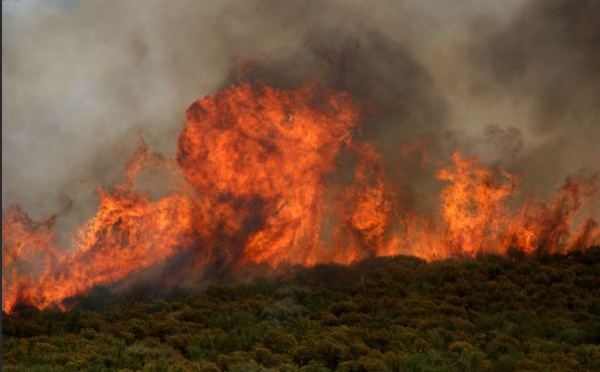 Feux de forêts : 300 militaires de la Sécurité civile déployés