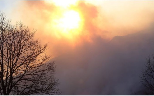 Chaleur, sécheresse et vent fort : le risque incendie est majeur en Corse