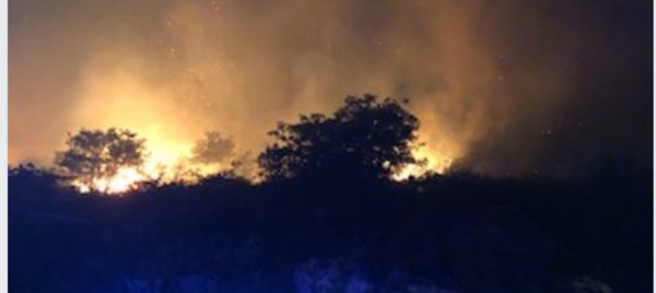 VIDEO - Felicetu : impressionnantes flammes dans la nuit 