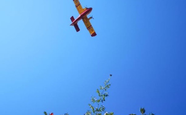 3 hectares détruits à Sorbo-Ocagnano et 2 mises à feu Venaco… 