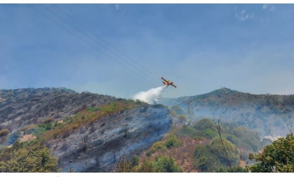 Incendie à Ajaccio : une dizaine d'hectares touchés à Saint-Antoine 