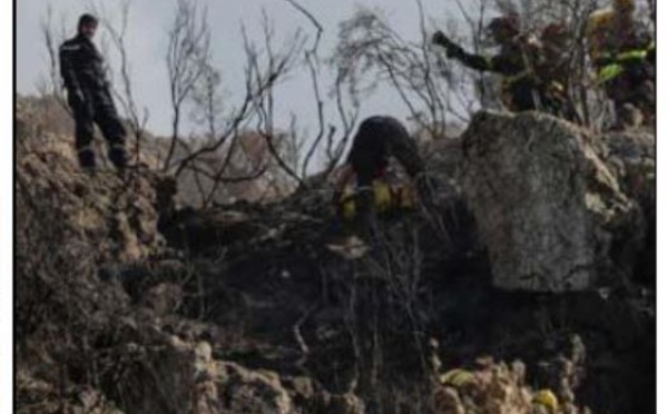 BALAGNA Encore un feu à Muro