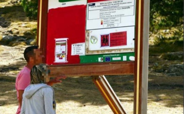 En Balagne, trois massifs forestiers fermés au public