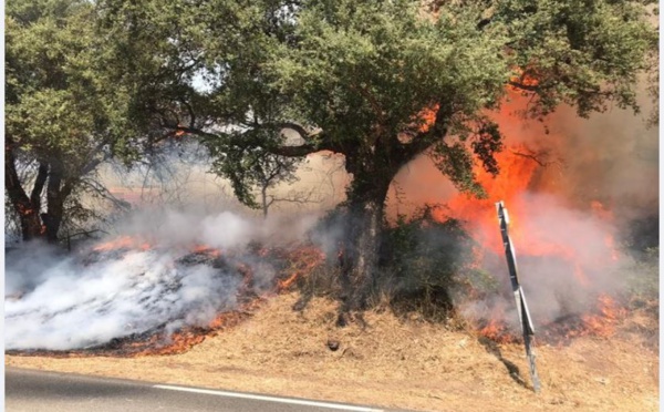 Lutte contre le feu : l'action de la Réserve Entreprise au sein du SIS Pumonti 