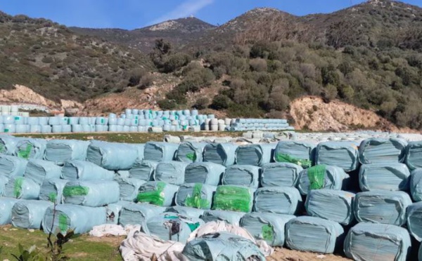 Centre de Giuncaggio : le préfet de Haute-Corse exige des garanties environnementales
