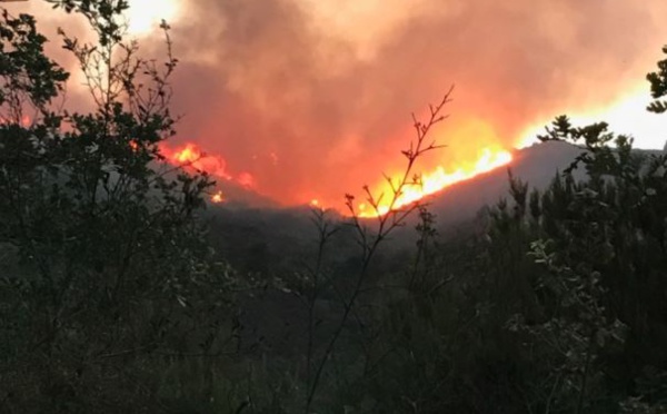 Plusieurs mises à feu à Feliceto : 10 hectares partis en fumée