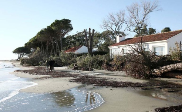 Lucciana, la mer ronge le littoral