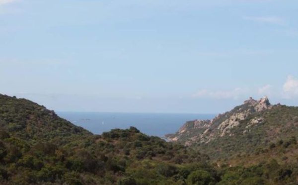 SARTÈ À Roccapina, pas de fumée sans feu pour U Levante