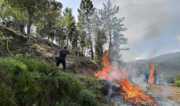 SERRA DI FIUM'ORBU Brûlage dirigé