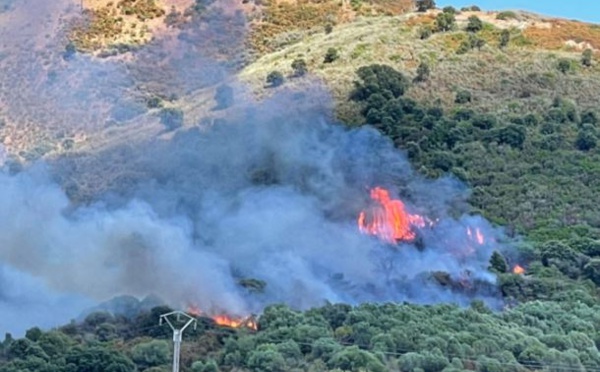 Ajaccio : six hectares brûlés à la Confina