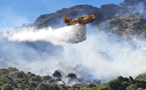 EN IMAGES- Les premières interventions des Canadairs à Lumiu