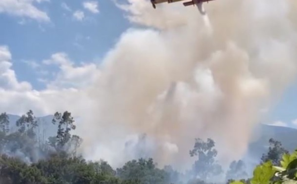 Incendie dans la plaine d'Oletta : 7 hectares détruits, une enquête ouverte