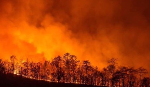 Incendies : La Sardaigne appelle à l'aide, la Corse répond