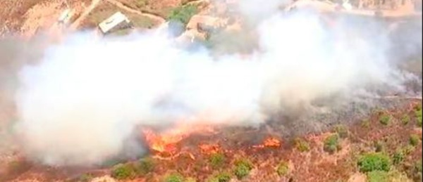 15 hectares parcourus par un incendie à Peri