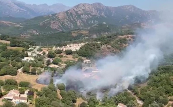 Incendie de Cutuli è Curtichjatu : 12 hectares détruits