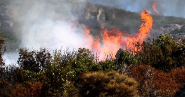 3 hectares détruits par un incendie à Lozzi