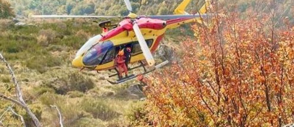 Un feu de végétation brûle 20 hectares à Palneca