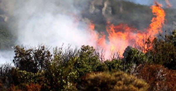 Ochjatana : un hectare de végétation part en fumée