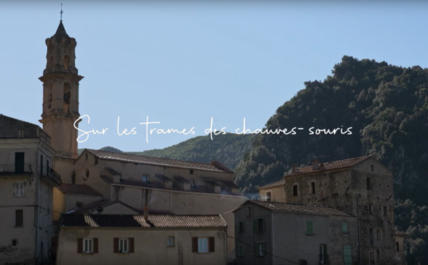 Découvrez le projet " Trames Chiroptères Corse "