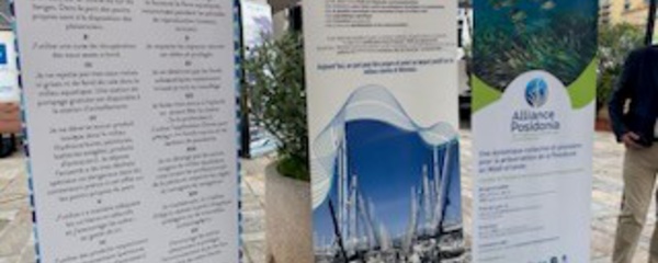 L’Office de l’Environnement de la Corse accueille l’Alliance Posidonia