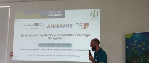 ALLIANCE POSIDONIA - JOURNÉE DES PARTENAIRES