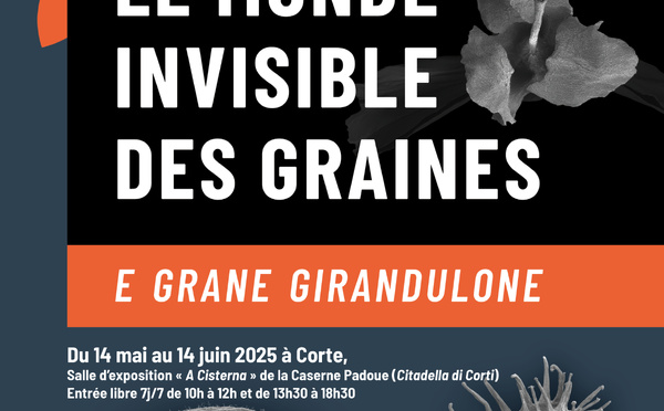 Spusizione "E Grane Girandulone "