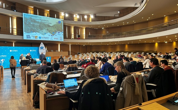 La Corse mise à l’honneur lors de la 9ᵉ édition « Poissons Migrateurs en Rhône-Méditerranée »
