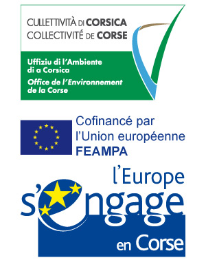 FEAMPA-Le-Fonds-Europeen-pour-les-Affaires-Maritimes-la-Peche-et-l-Aquaculture_a39.html