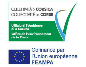 FEAMPA-Le-Fonds-Europeen-pour-les-Affaires-Maritimes-la-Peche-et-l-Aquaculture_a39.html